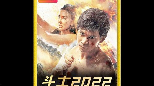 国产动作电影完整在线观看,国产动作电影盛宴，在线观看一网打尽