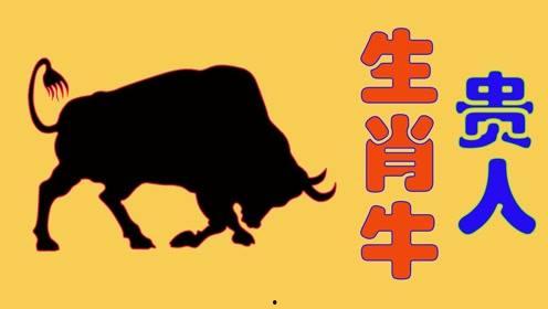 最新国产牛牛碰在线视频,最新在线视频玩法揭秘