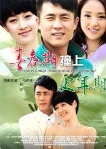 国产的电视剧合集在线看